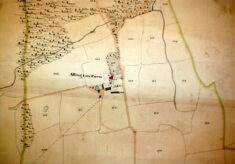 Tithe map - Allington Farm detail
